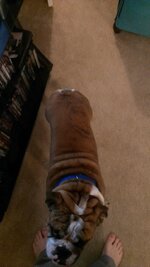 IMAG0887.jpg