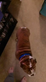 IMAG0888.webp