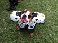 TLU Homecoming Tailgating 2014.webp