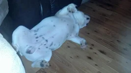 sleeping.webp