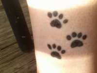 paw prints.jpg paw prints.jpg