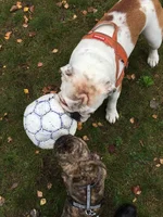 2014-10-22 12.30.18.webp