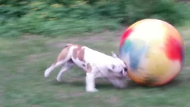 2014-04-29 19.41.10.webp