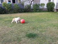 2014-04-20 18.59.31.webp