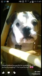 uploadfromtaptalk1414025331672.webp
