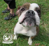 Gracie New Orleans.webp