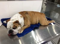 JJ After Surgery2.webp