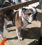 Chloe - Long Island.webp
