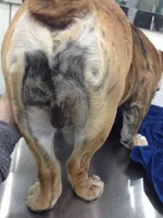 JJ After Surgery4.webp