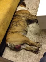 JJ After Surgery5.webp