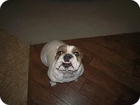 leighla.webp