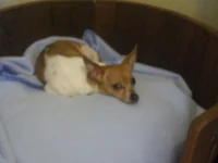 100_0586.webp
