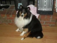 100_0202.webp