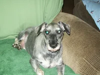 100_0308.webp