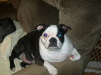 100_0412.webp