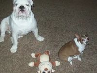 100_0499.webp 100_0499.webp