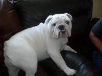 100_0530.webp 100_0530.webp