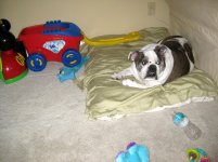IMG_5435.jpg IMG_5435.jpg
