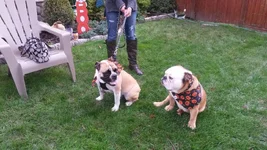 20141024_142554.webp