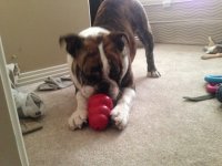 IMG_0541.jpg IMG_0541.jpg