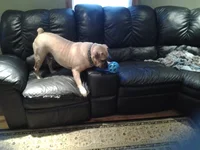 20141025_075600.webp 20141025_075600.webp