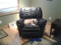 20141025_075543.webp 20141025_075543.webp