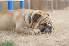 IMG_1200-1.jpg IMG_1200-1.jpg