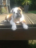 20140921_142936.webp