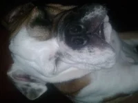 20141023_212827.webp
