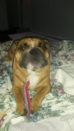 20140616_183210.webp