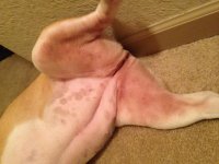 image.jpg