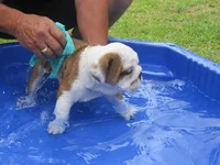 FUN 015 (2).webp