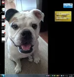 Capture.webp