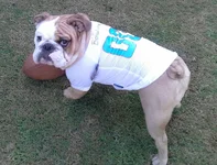 20130918_171919-1.webp