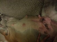 20140603_211326.jpg