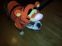 ruby_tigger3.webp