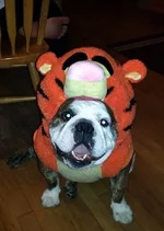 ruby_tigger.webp