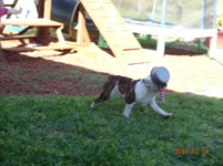 DSC00089.webp