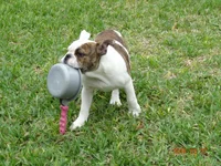 DSC00127.webp