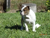 DSC00088.webp
