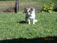 DSC00087.jpg