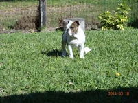 DSC00087.webp