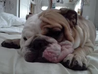 20140816_152130.webp