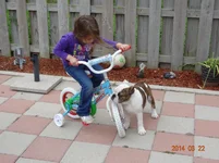 DSC00122.webp