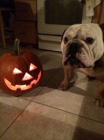 pumpkin (1).jpg