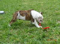 DSC00111.webp