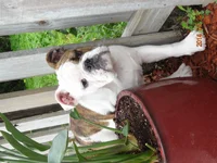 DSC00120.webp