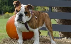 ryleigh.webp