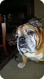 otis.webp otis.webp