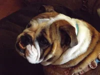 DSCF5244.webp